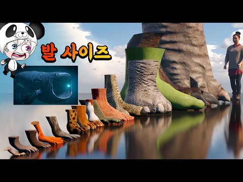 블룹과 몬스터와 동물들의 발 사이즈 비교!! 발이 이렇게 신기할 줄이야!! 고질라 기도라 헐크의 신기한 발 비교 애니메이션 상황극 [꿈토이 꿀잼 리액션]