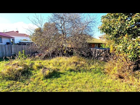Risking it ALL | Starting a Garden Cleanup without PERMISSION!
