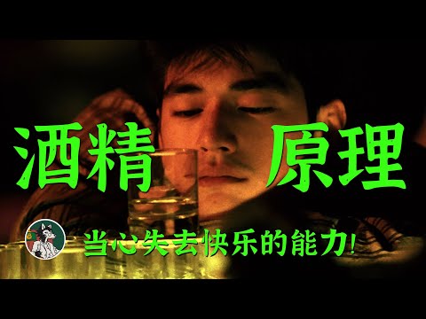 酒精是怎么让你醉的？#独立思考 #酒 #酒知识 #喝醉酒之后 #酒量