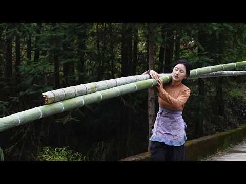 Bamboo Chicken Coop | What do you think of my handmade naturalistic bamboo chicken coop? [Shendan]