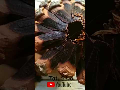 Decoração de Natal com Rolinho de Papel