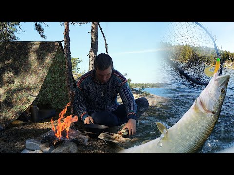 CATCH & COOK: 2 Days Out on the Sea! (Wild Camping)