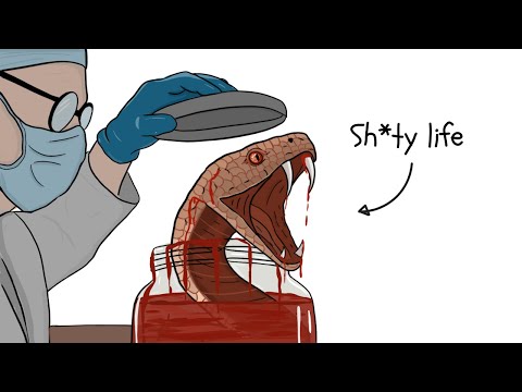 Why It Sucks to Be a Lab Snake