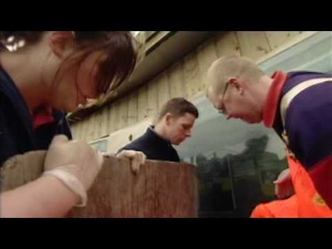 Seal Rescue - Scarborough style!