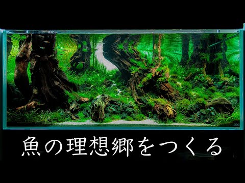 水槽の中に巨木が佇む原生林をつくる。IAPLC2022作品メイキング【アクアリウム】