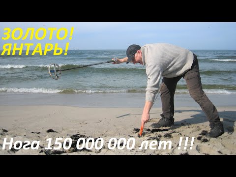 FANTASTIC COP! FOUND HUGE AMBER! FOUND A FOSSILIZED DINOSAUR PERIOD LEG!