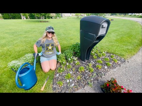 Planting My Mailbox Bed For My Soldier Brothers Bday🇺🇸 More Random Annuals Planted In the Garden!