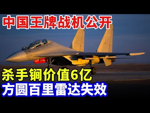 中国王牌战机公开，内藏空战杀手锏价值6亿，方圆百里雷达失效，欧美30年赶不上【科技创新】
