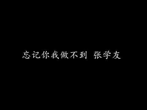 忘记你我做不到 张学友 (歌词版)