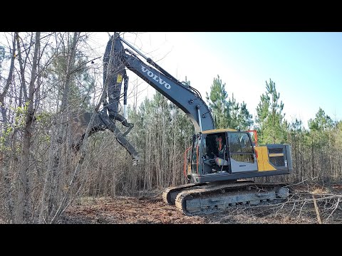 Clearing An Overgrown Logging Cutover