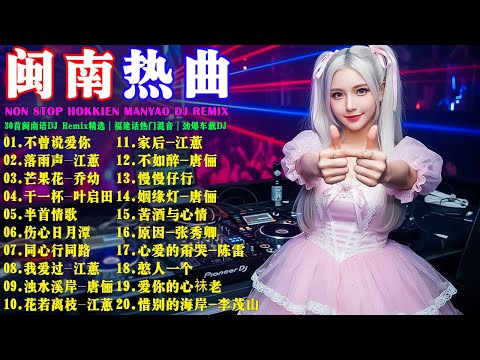闽南语DJ Non Stop 2026【不曾說愛你-羅時豐】【落雨聲-江蕙】【芒果花-喬幼】【傷心日月潭-唐儷】【同心行同路-阿吉仔】30首闽南语DJ Remix精选｜福建话热门混音｜劲爆车载DJ