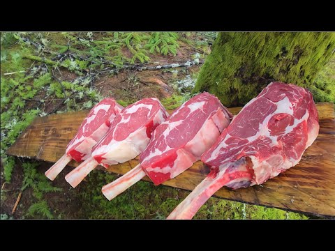Tomahawk Steak the Caveman Way 🥩🔥 | Raw Outdoor Cooking ASMR #food #cooking