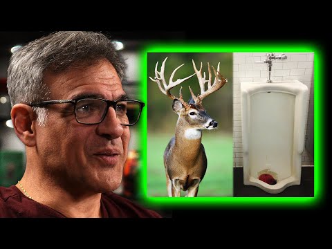 The Funniest CIA Training Story You've Never Heard | John Kiriakou