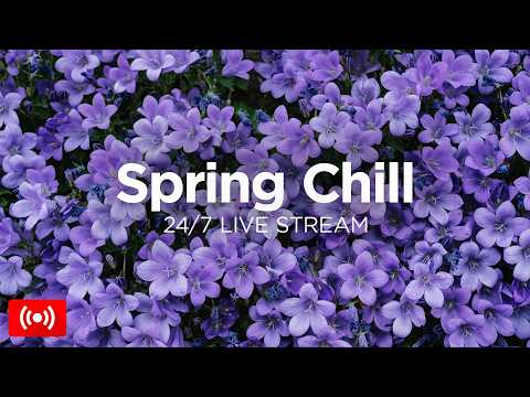 Winter Chillout Lounge 2026 ❄️ 24/7 Live Stream 🎧 Deep Chill House Mix by We Are Diamond