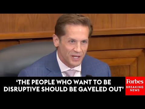 WATCH: Protesters Yell After Rich McCormick Demands Their Removal From Hearing On Pakistan Election