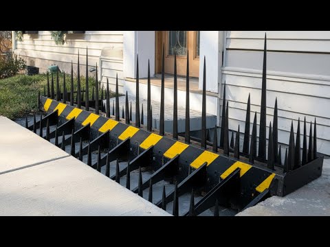 Genius Home Defense Gadgets You’ll Wish You Had