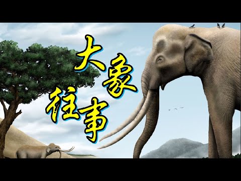 【鬼谷说】长鼻目：大象无形