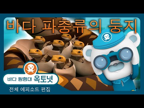 바다 탐험대 옥토넛 - 🐍🐢 바다 파충류의 둥지 🪺🐊 - 120분+ 편집 - 모음집