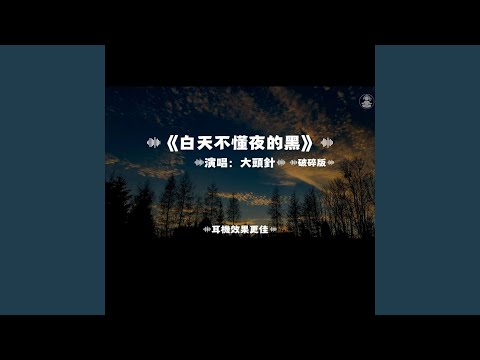 白天不懂夜的黑/大頭針