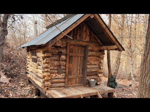 Building a Forest Cabin, From Start To Finish