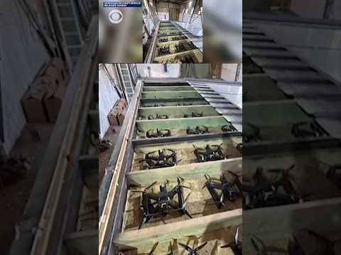 Ukraine’s drone attack on Russia is groundbreaking, international studies expert says #shorts