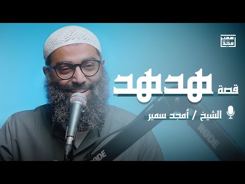 قصة هدهد | تأملات في سورة النمل