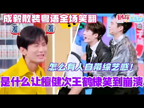 是什么让檀健次王鹤棣笑到崩溃？成毅散装粤语自带综艺感全场笑翻！#檀健次 #你好星期六 #综艺 #娱乐 #cdrama #搞笑 #王鹤棣 #成毅 #chengyi