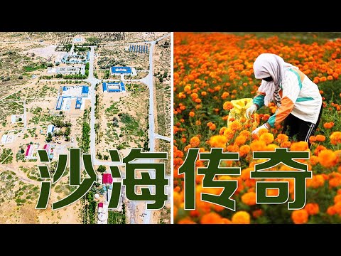这是中国唯一被两大沙漠三面包围的西部城市，曾被预言会成为第二个“死亡之海”，如今怎么样了？| LIVE NOW