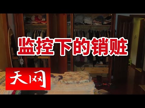 《天网》小区接连被盗 保险柜遭遇暴力破坏 盗贼竟在监控下...... 20240705