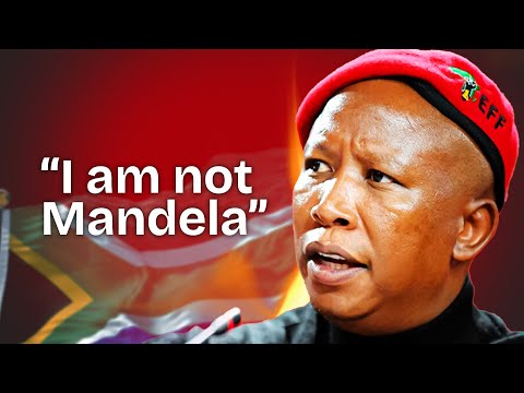 Julius Malema | The Most Feared Politician in Africa!