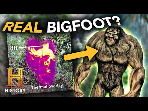 Mysterious Beasts No One Can Explain | The Proof Is Out There | History
