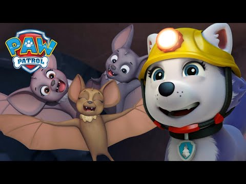 阻止山体滑坡 - PAW Patrol 汪汪隊立大功 - 兒童卡通