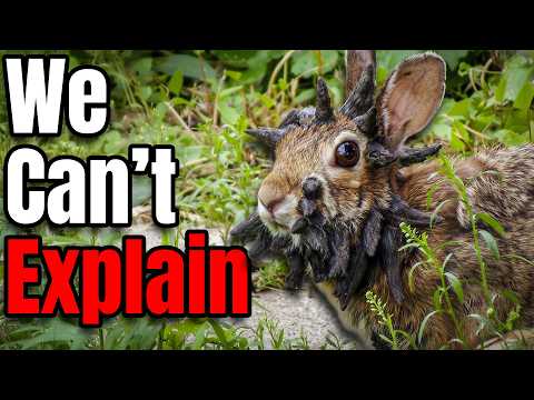 MYTHICAL Creatures That ACTUALLY Existed In Prehistory