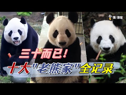 熊猫界的三十而已：盘点10位年龄超过30岁的“老熊家”，越老越俏，越老越调皮