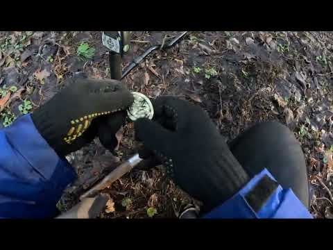 в поисках закладок физкультурников