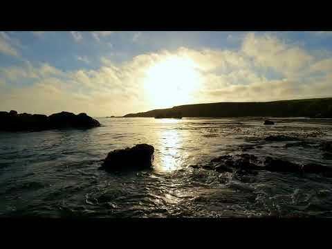 Listen to Seabirds & calming Ocean Waves at Sunset as Pelicans fly by and land - Carmel Beach, CA