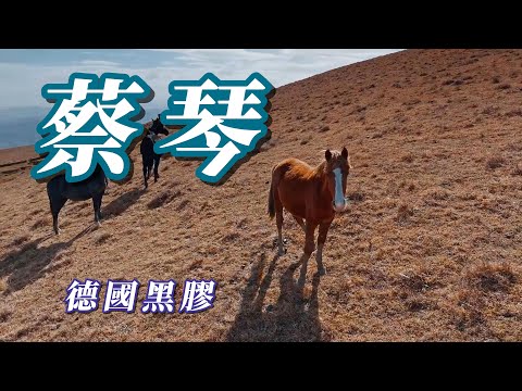 （蔡琴）（徳國黑膠）（無損音質）分享朋友😍😍😍😍VOL1