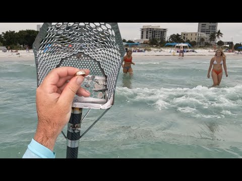 There's LOTS of gold and diamonds at this beach!!