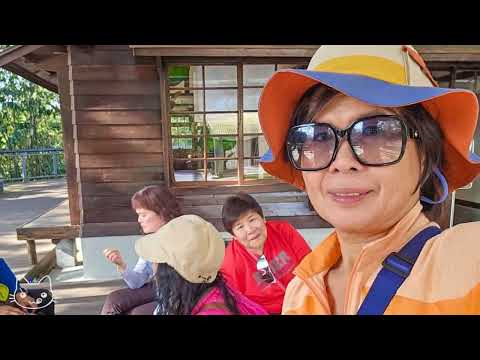 20251215海山友 高遶溪步道 長興黃楓林