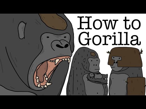 Your Life as a Gorilla