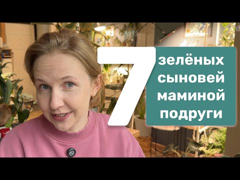 7 отличников из мира растений | простые и красивые 