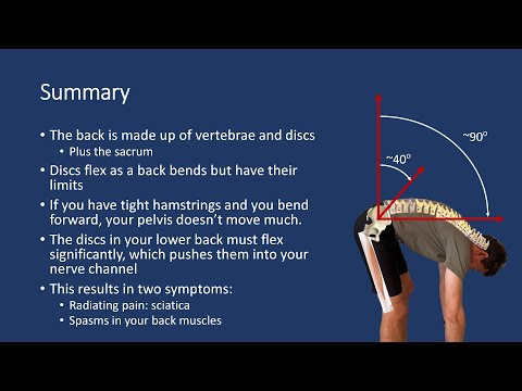 Understanding Lower Back Pain