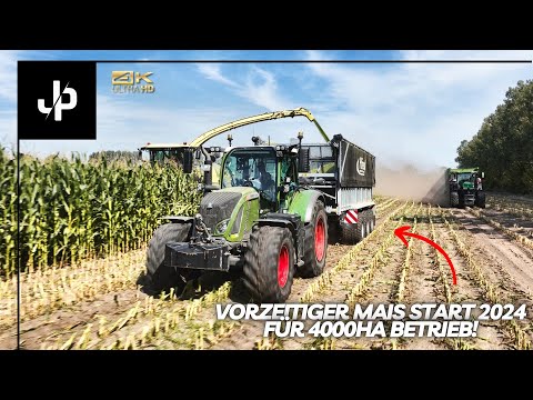 Maisernte 2024! 🌽 Vorzeitiger start für 4000ha Betrieb! || JP Agrar