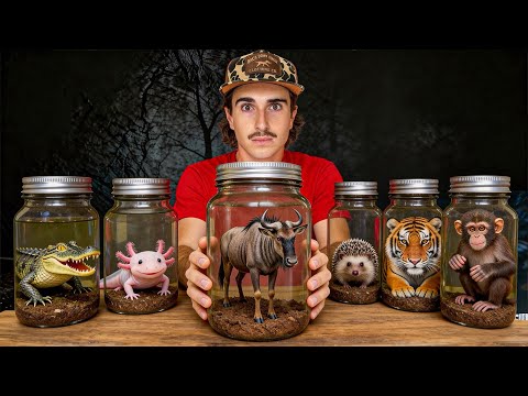 I Bought the Deadliest Creatures On the Dark Web! 