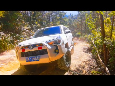 Toyota 4Runner 4.0L V6 vs GWM Tank 400 2.0T v Jeep Wrangler Rubicon 3.6L V6 v BJ40 2.3T: PK Off-road