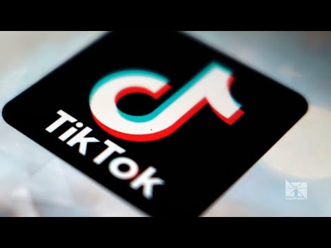 TikTok's new terms of service spark backlash, but experts say they're an industry standard