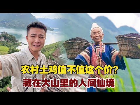 Is Rural Pricing Low? Is Free-Range Chicken Worth It? Hidden Paradise in the Mountains