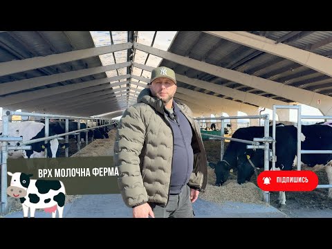 #207 Dairy Cattle Farm: Phased Reconstruction of Cowsheds – Feeding, Housing, Milking🐄🏡🔧