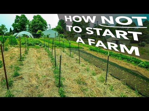 Common Mistakes New Growers Make