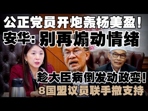连公正党也不满了！杨美盈遭炮轰政治不成熟  |  玻州大臣病倒， 盟友趁火打劫忙着逼宫